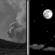 Tonight: Haze then Mostly Clear